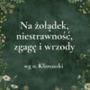 „Na żołądek, niestrawność, zgagę i wrzody” - mieszanka ziołowa wg o. Klimuszki