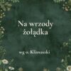 24g „Na wrzody żołądka” - mieszanka ziołowa wg o. Klimuszki