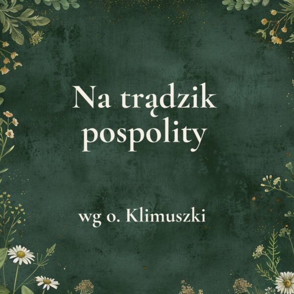 11g „Na trądzik pospolity” - mieszanka ziołowa wg o. Klimuszki