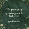 „Na prostatę (przerost gruczołu krokowego)” - mieszanka ziołowa wg o. Klimuszki