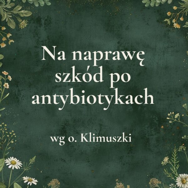 „Na naprawę szkód po antybiotykach” - mieszanka ziołowa wg o. Klimuszki