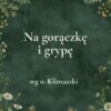 K035_2 „Na gorączkę i grypę” - mieszanka ziołowa wg o. Klimuszki