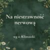 K048_2 „Na niestrawność nerwową” - mieszanka ziołowa wg o. Klimuszki