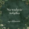 K049_2 „Na wzdęcie żołądka” - mieszanka ziołowa wg o. Klimuszki