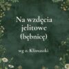 „Na wzdęcia jelitowe (bębnicę)” - mieszanka ziołowa wg o. Klimuszki