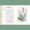 2a "Ilustrowany zielnik Hildegardy z Bingen" – Paul Ferris