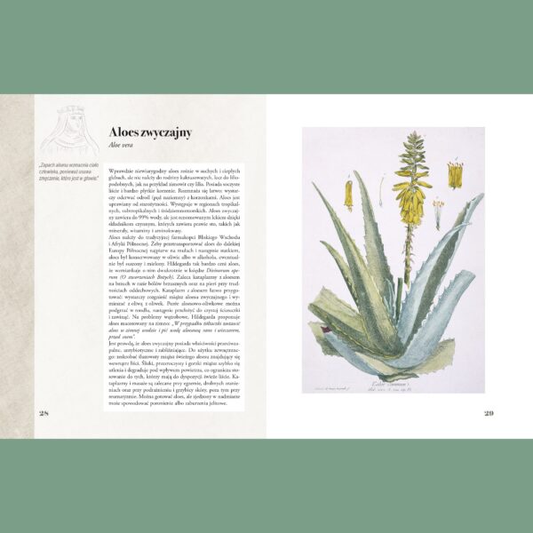 2a "Ilustrowany zielnik Hildegardy z Bingen" – Paul Ferris