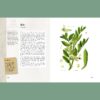 3a "Ilustrowany zielnik Hildegardy z Bingen" – Paul Ferris