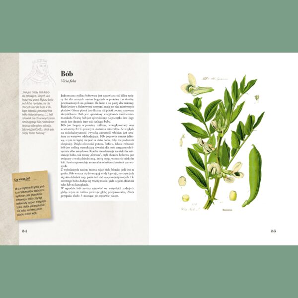 3a "Ilustrowany zielnik Hildegardy z Bingen" – Paul Ferris